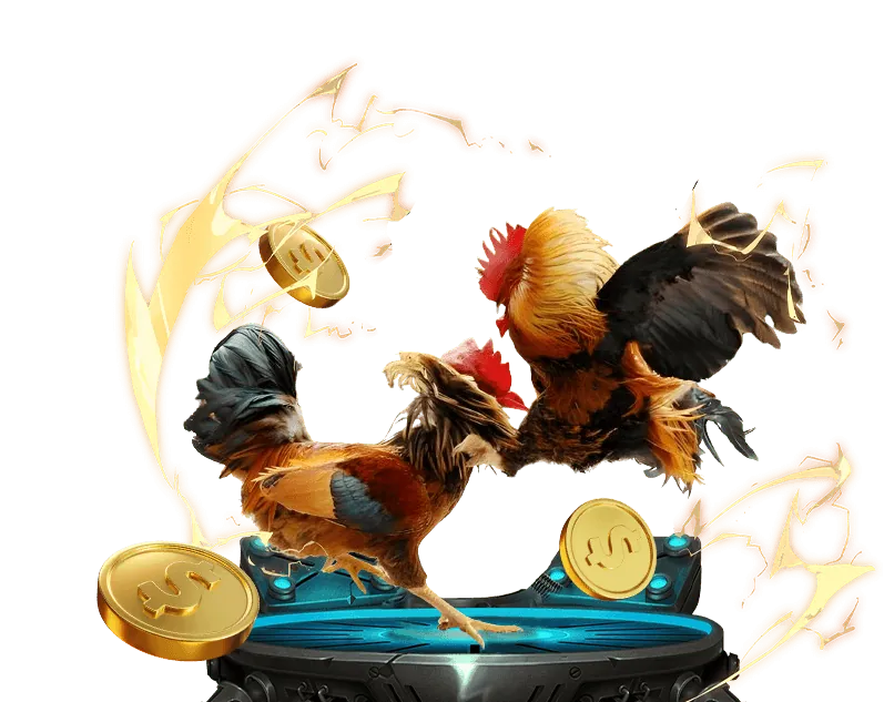 Câu hỏi thường gặp về ontop88 win